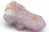 Cactus Quartz (Amethyst) Crystal Cluster - South Africa #237394-1